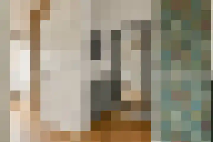 Hoefweg 3 Bleiswijk thumbnail 16