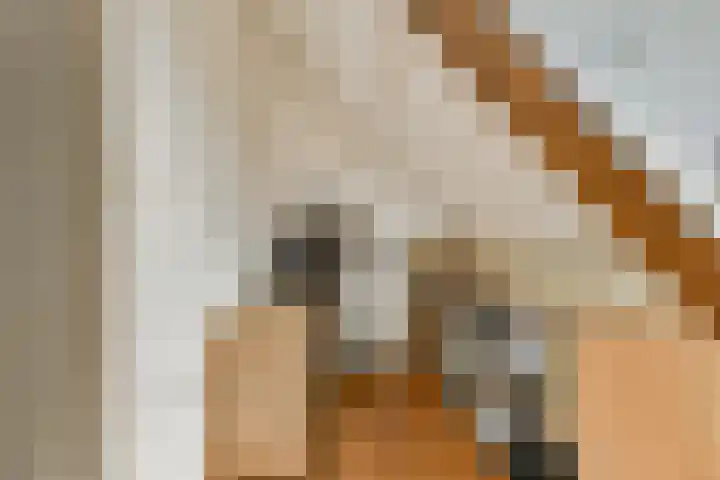 Hoefweg 3 Bleiswijk thumbnail 18