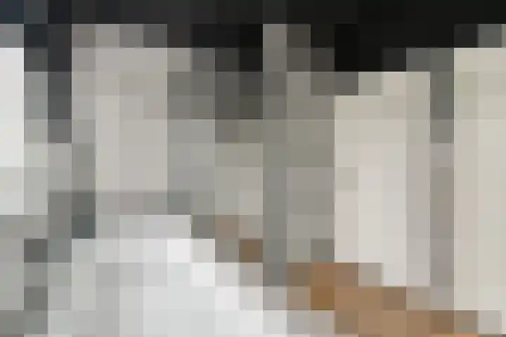 Hoefweg 3 Bleiswijk thumbnail 22
