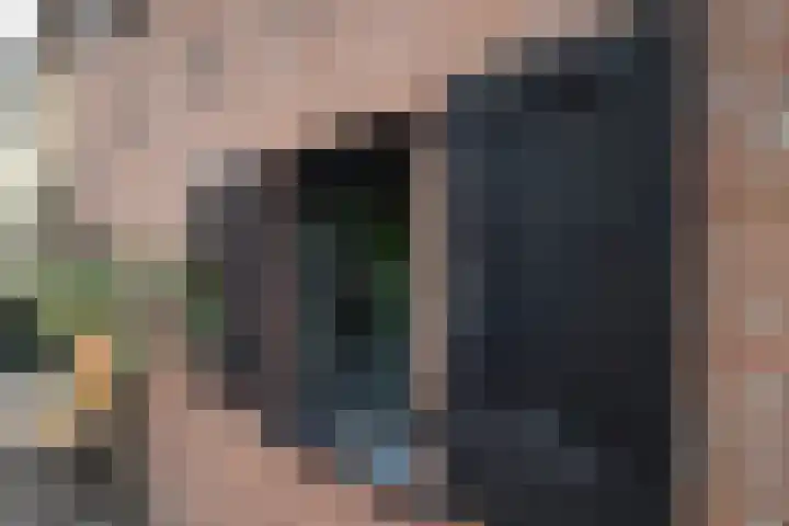 Hoek 26 Genemuiden thumbnail 13