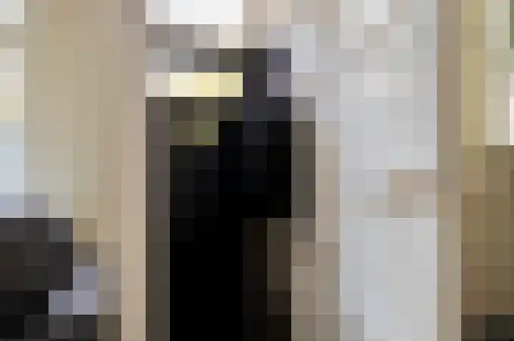 Hoek 26 Genemuiden thumbnail 17