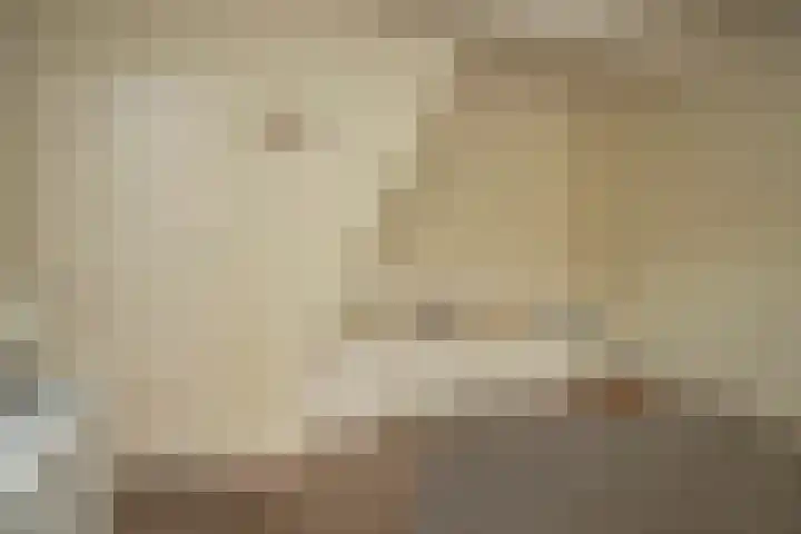 Hoek 26 Genemuiden thumbnail 21