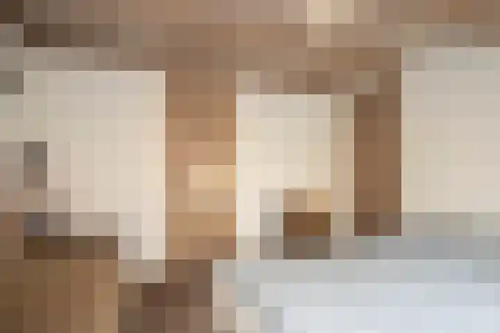 Hoek 26 Genemuiden thumbnail 29