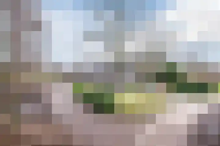 Hoek 8 Duizel thumbnail 4