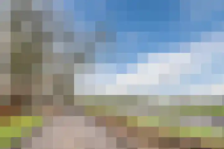 Hoek 8 Duizel thumbnail 52