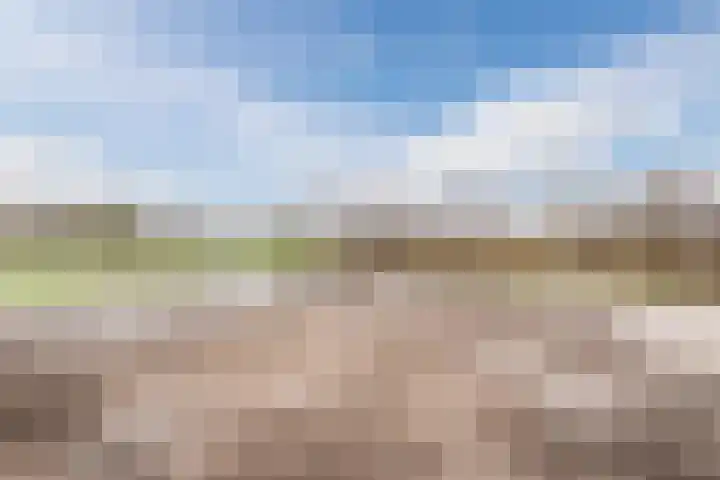 Hoek 8 Duizel thumbnail 53