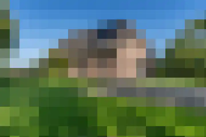 Hoek 9 Den Dungen