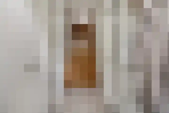 Hoek 9 Den Dungen thumbnail 15