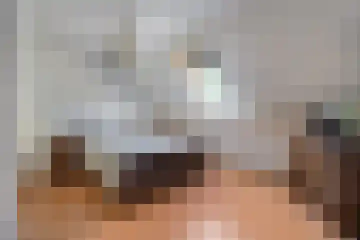Hoek 9 Den Dungen thumbnail 21