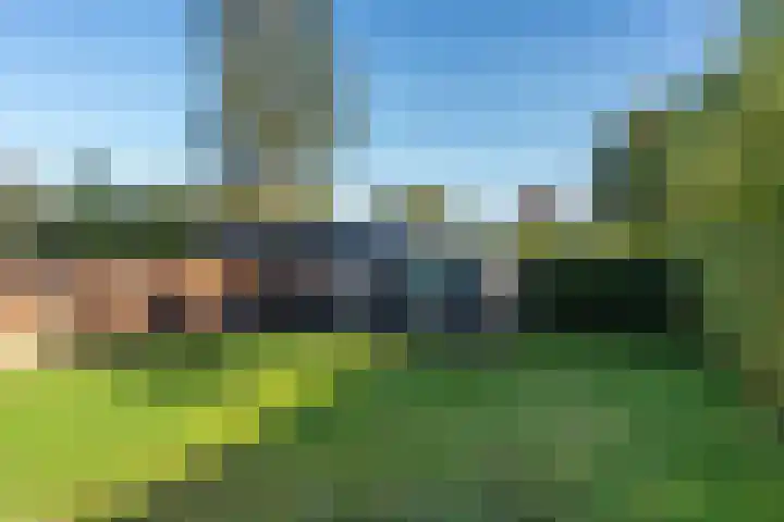 Hoek 9 Den Dungen thumbnail 27
