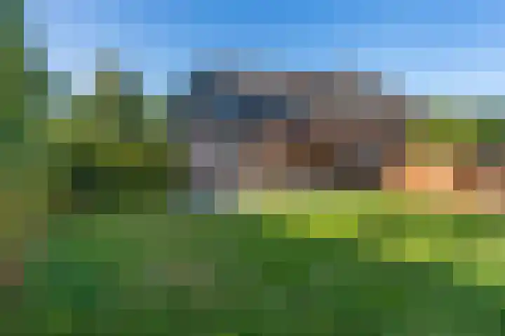 Hoek 9 Den Dungen thumbnail 29