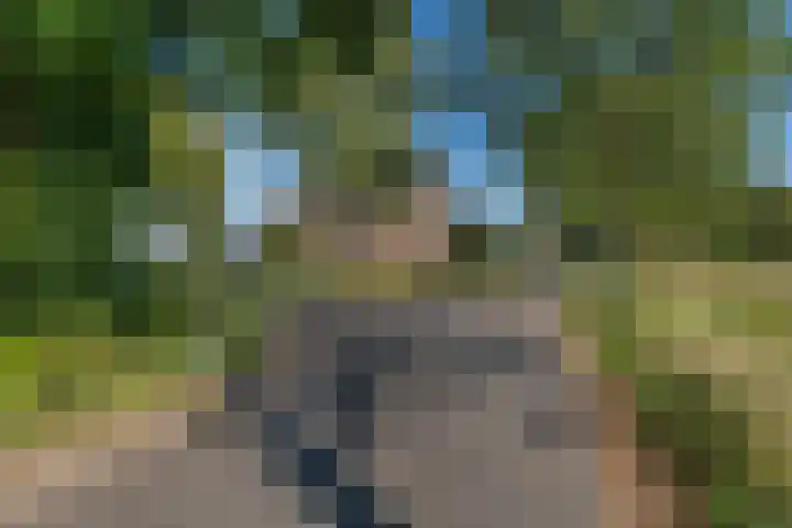 Hoek 9 Den Dungen thumbnail 32