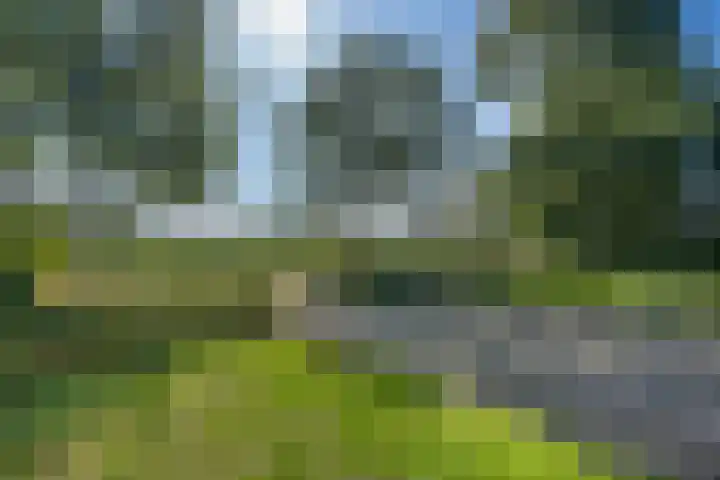 Hoek 9 Den Dungen thumbnail 33