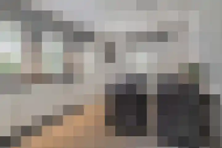 Hoek 9 Den Dungen thumbnail 8