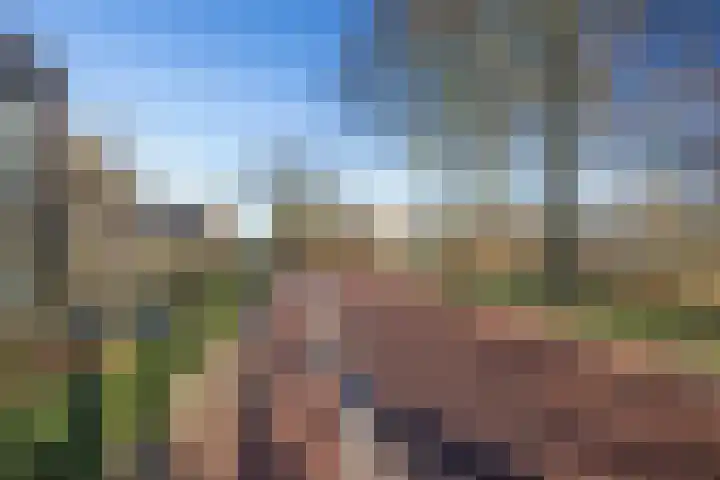 Hoek 9 Duizel thumbnail 56