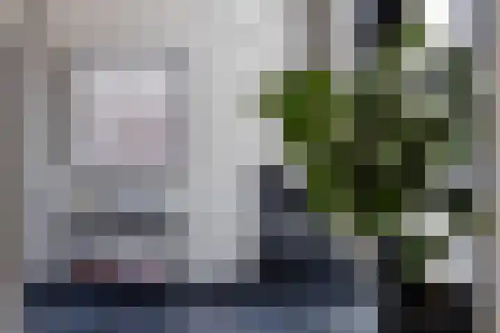 Hoek 9 Duizel thumbnail 8