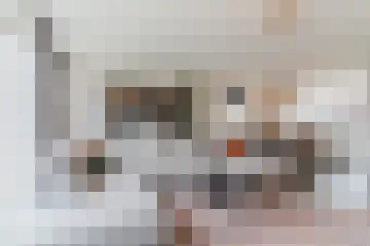 Hoekakker 10 Netersel thumbnail 11