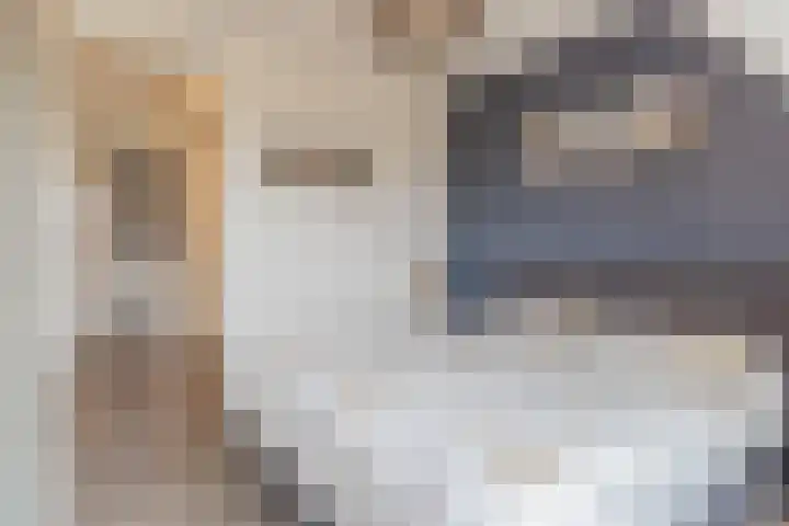 Hoekakker 10 Netersel thumbnail 21