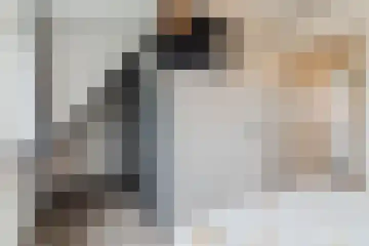 Hoekakker 10 Netersel thumbnail 22
