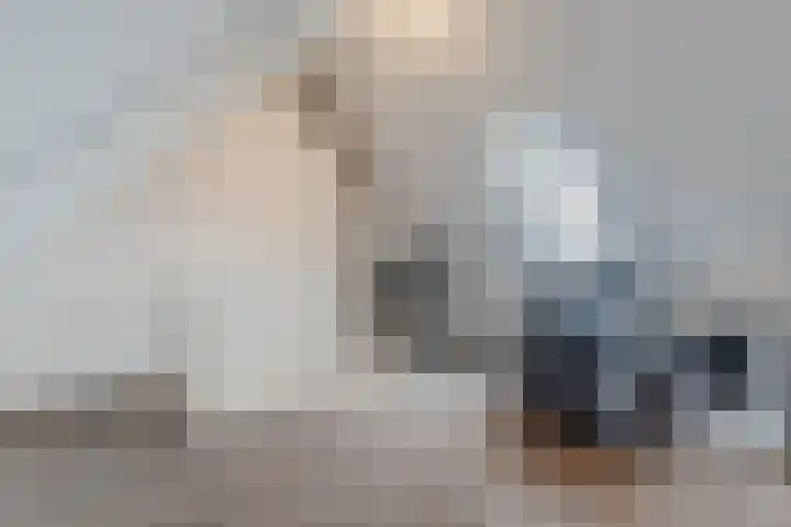 Hoekakker 10 Netersel thumbnail 33