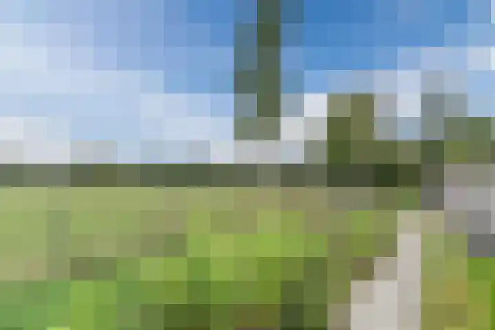 Hoekakker 10 Netersel thumbnail 44
