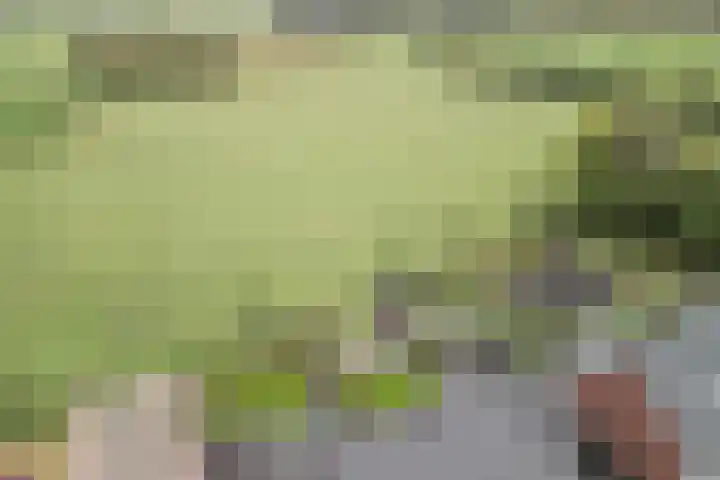 Hoekakker 10 Netersel thumbnail 45