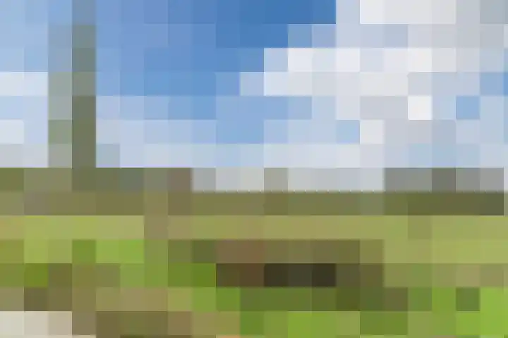 Hoekakker 10 Netersel thumbnail 46