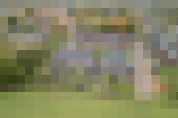 Hoekakker 10 Netersel thumbnail 48