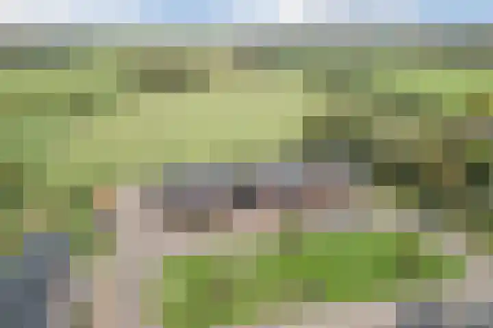 Hoekakker 10 Netersel thumbnail 49
