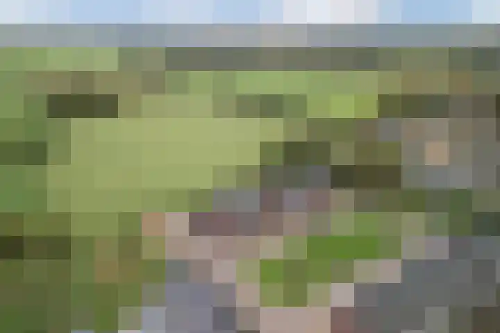 Hoekakker 10 Netersel thumbnail 50