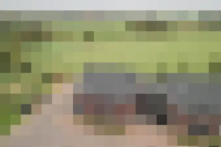 Hoekakker 10 Netersel thumbnail 51