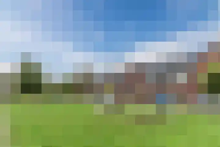 Hoekakker 10 Netersel thumbnail 58
