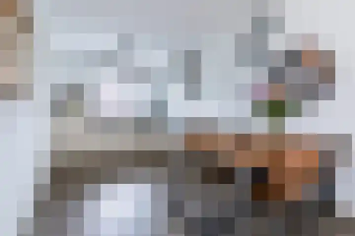 Hoekakker 4 Netersel thumbnail 12