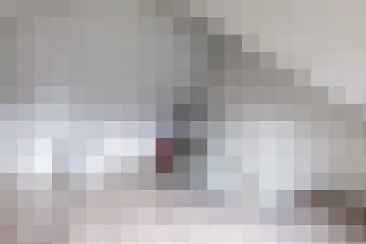 Hoekakker 4 Netersel thumbnail 25