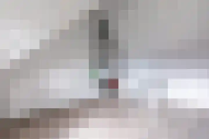 Hoekakker 4 Netersel thumbnail 26