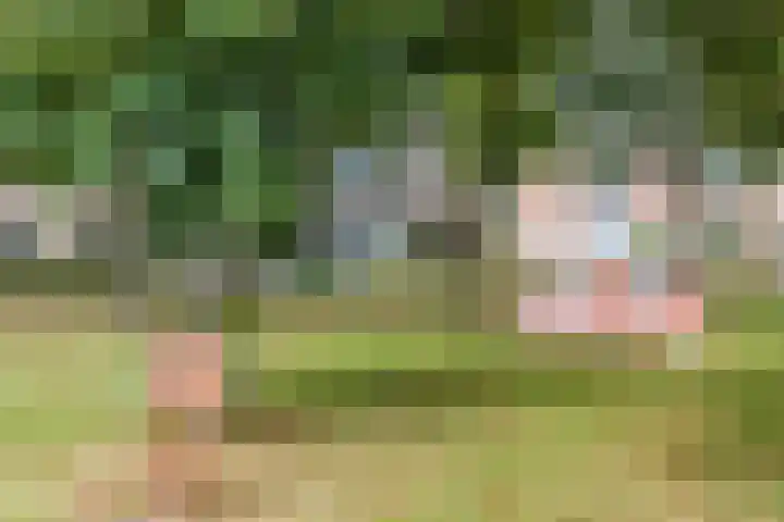 Hoekakker 4 Netersel thumbnail 33