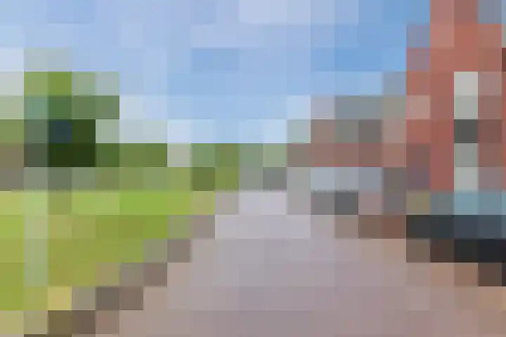 Hoekakker 4 Netersel thumbnail 5