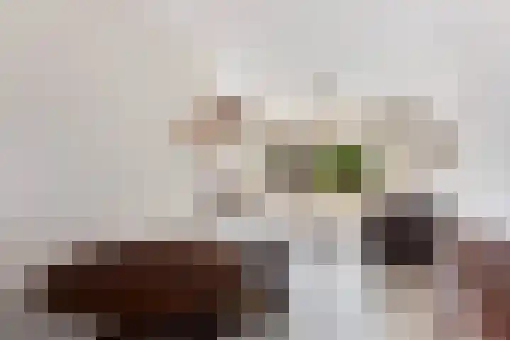 Hoeker 10 Maassluis thumbnail 11
