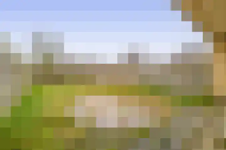 Hoeker 11 Wieringerwerf thumbnail 19