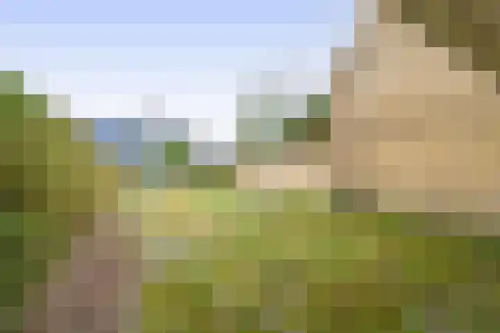 Hoeker 14 Wieringerwerf thumbnail 16