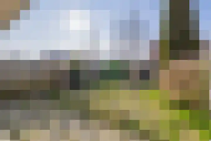 Hoeker 29 Wieringerwerf thumbnail 11