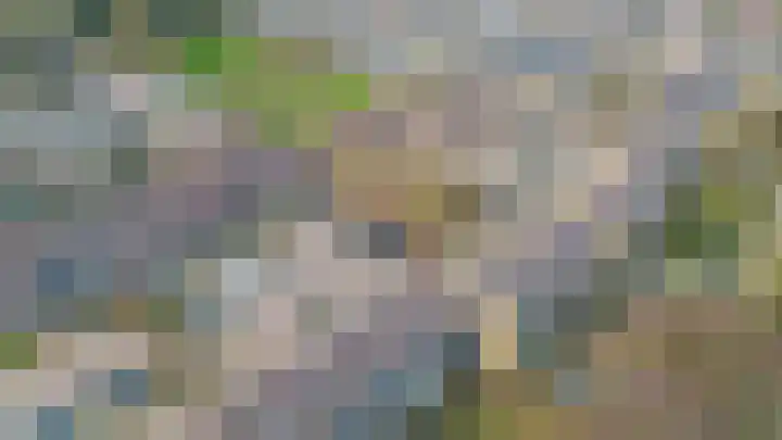 Hoeker 29 Wieringerwerf thumbnail 24