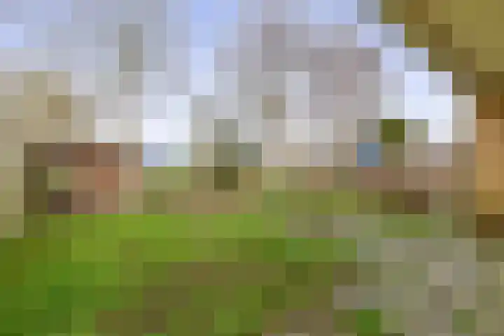 Hoeker 46 Wieringerwerf thumbnail 17