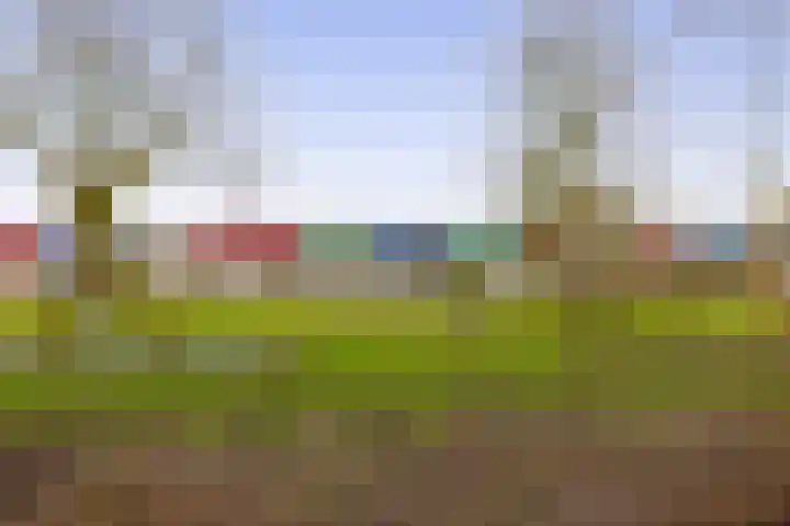 Hoeker 46 Wieringerwerf thumbnail 22