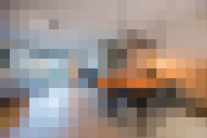 Hoeker 5 Dinteloord thumbnail 11