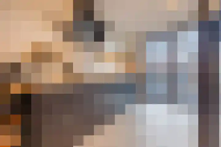 Hoeker 5 Dinteloord thumbnail 13