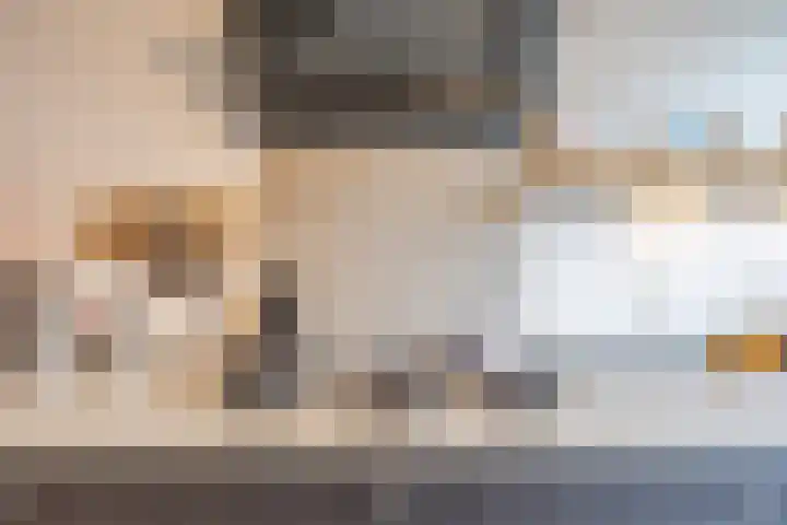 Hoeker 5 Dinteloord thumbnail 17