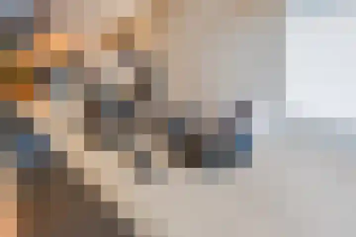 Hoeker 5 Dinteloord thumbnail 18