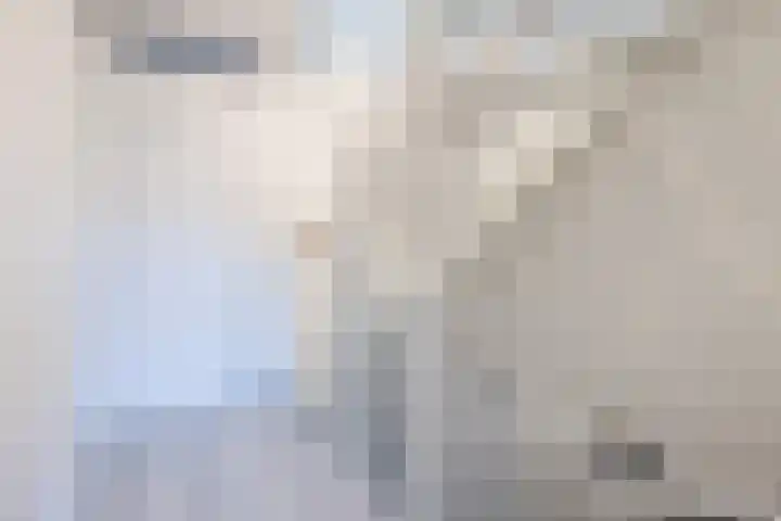 Hoeker 5 Dinteloord thumbnail 20