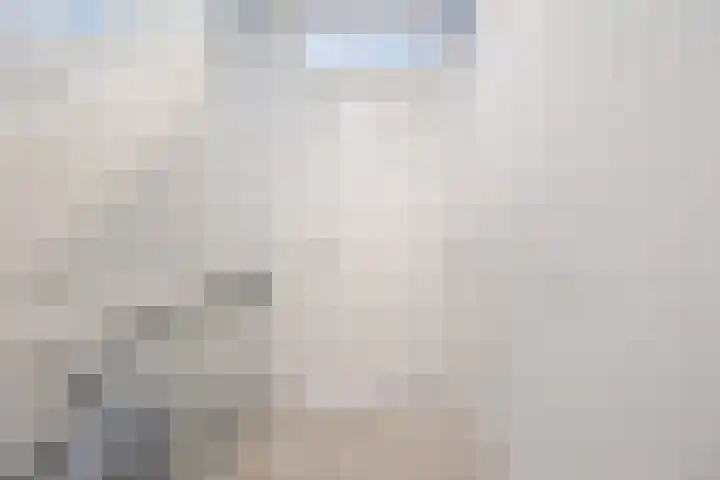 Hoeker 5 Dinteloord thumbnail 21